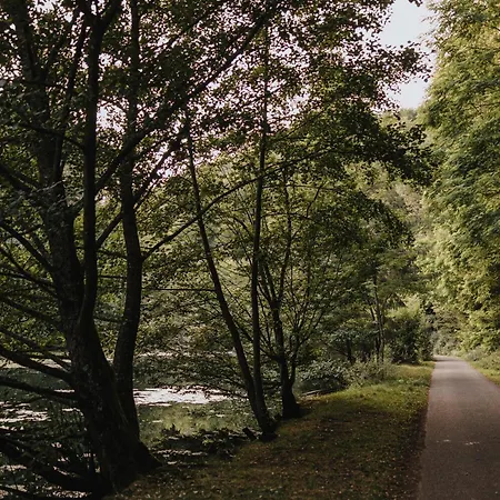 Am Annaweiher * Hinterweidenthal