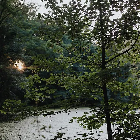 Am Annaweiher Hinterweidenthal